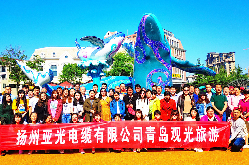 Cavo Co., Ltd. di Yangzhou Yaguang