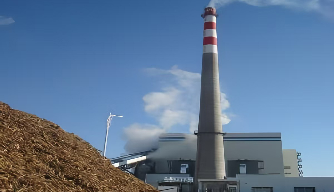 Progetto di produzione di energia elettrica da biomassa di Wuhan Kaidi Power