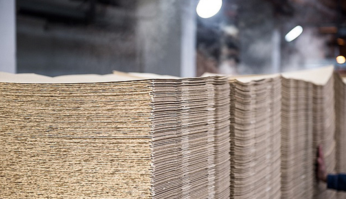 Progetto della polpa di Shandong Rizhao