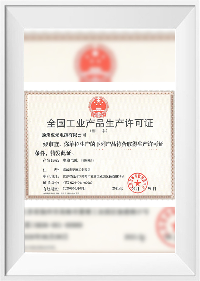 Licenza di produzione 2021